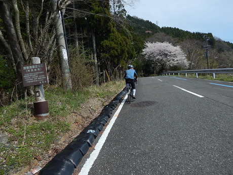 DSCN9014
