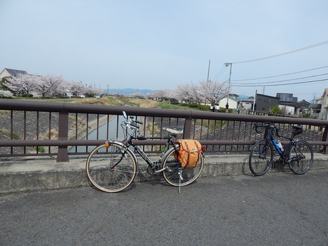 DSCN8543