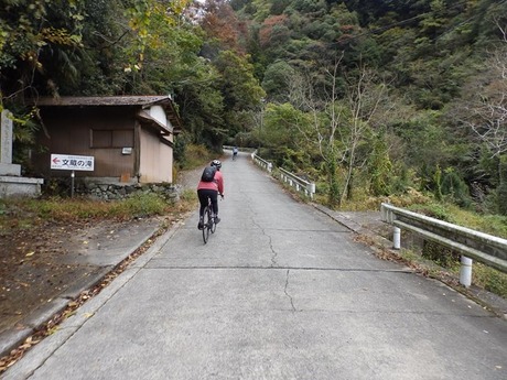 s-PB110124kushi
