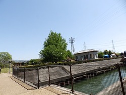 s-P4220121fushimi