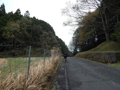 DSCN6165