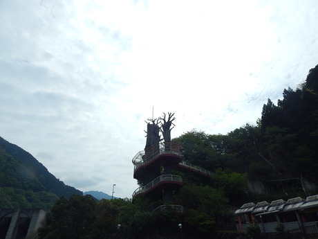 DSCN7601