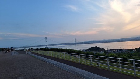 s-78554awajishima