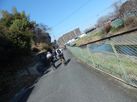DSCN4061