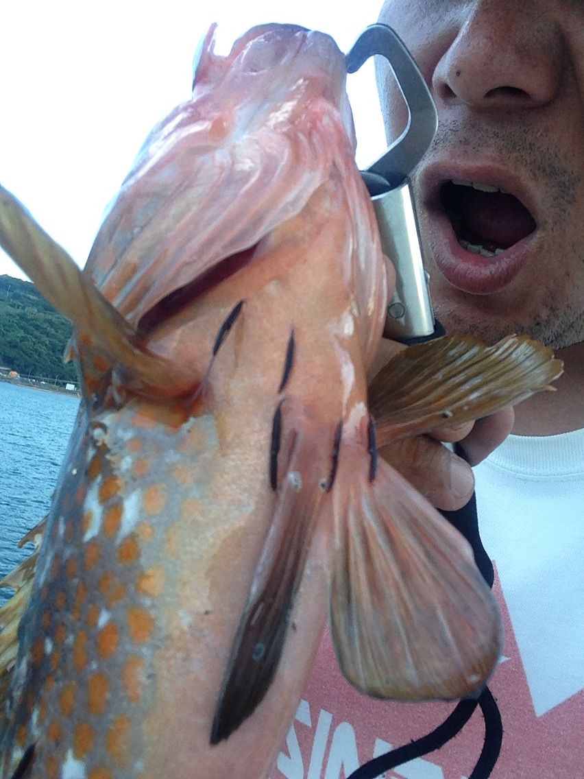 アコウ すみやんの とりあえず釣りに行こうと思います アコウ すみやんの とりあえず釣りに行こうと思います
