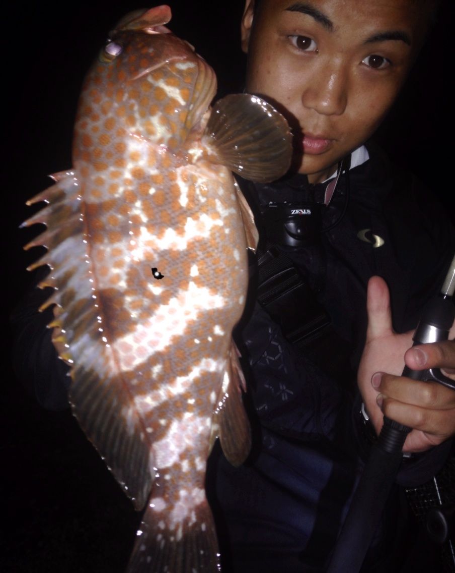 アコウ すみやんの とりあえず釣りに行こうと思います アコウ すみやんの とりあえず釣りに行こうと思います