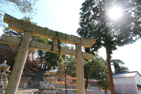 DPP_005