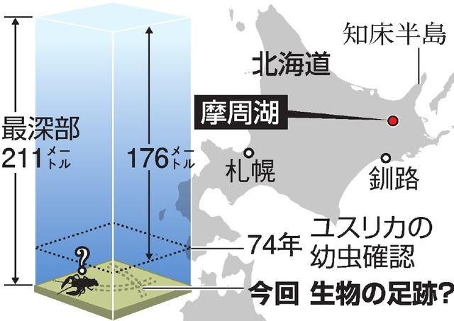 科学 摩周湖湖底に謎の凸凹 生物の足跡 研究者ら捕獲作戦へ らふ速 ニュースまとめ 科学 摩周湖湖底に謎の凸凹 生物の足跡 研究者ら捕獲作戦へ らふ速 ニュースまとめ