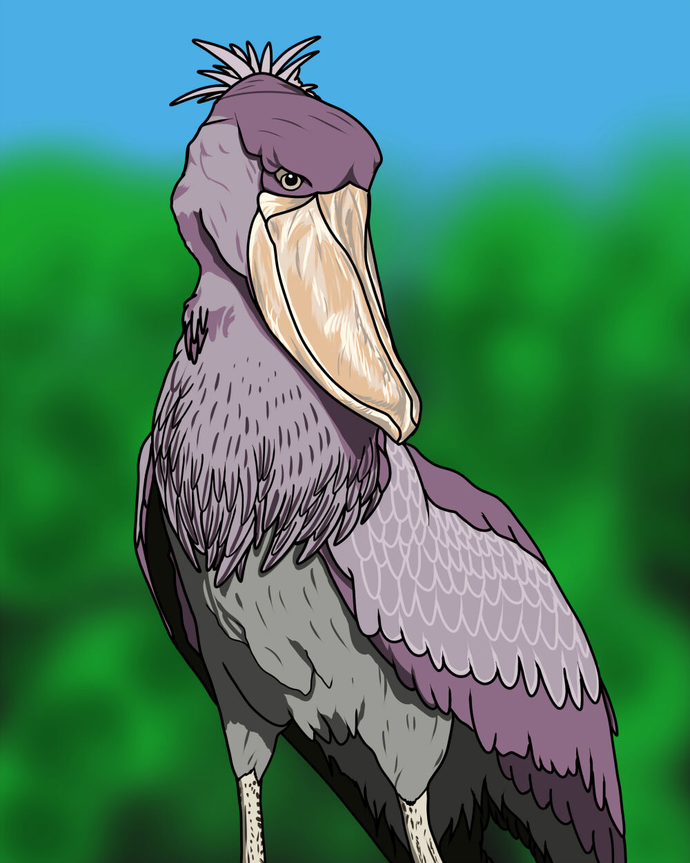 イラスト ハシビロコウ 夏色アサシンの創作活動記録