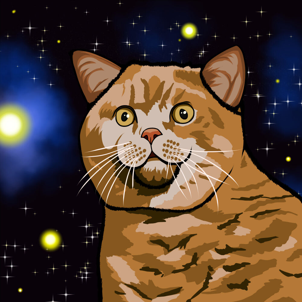 イラスト 宇宙猫 スペースキャット 夏色アサシンの創作活動記録