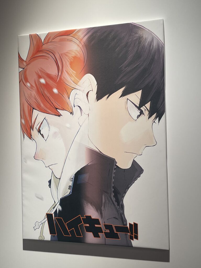 ハイキュー 決意 表明 MIZUNO]ミズノ トレーニングウェア