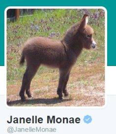 jmonae