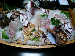 船盛り