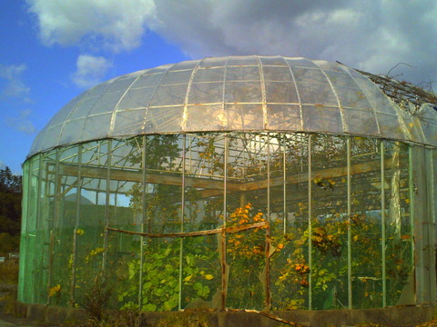 PICT0892