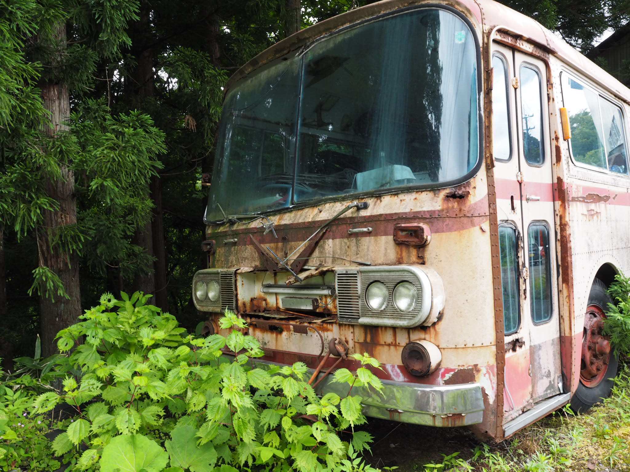 廃バス 2台セット 期間限定キャンペーン