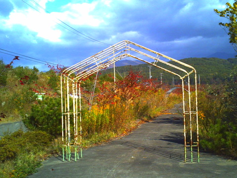 PICT0862