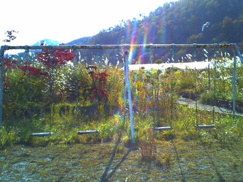 PICT0866