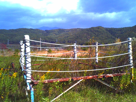 PICT0871