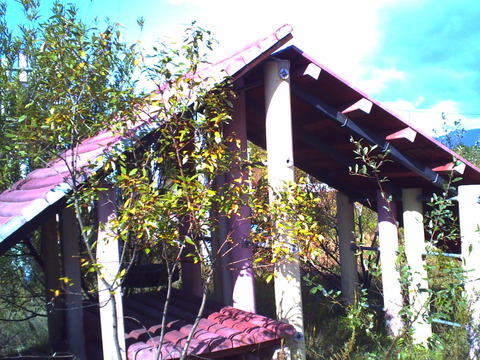 PICT0869