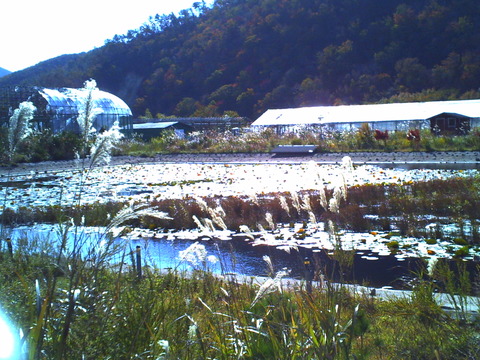 PICT0883