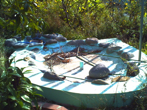 PICT0888