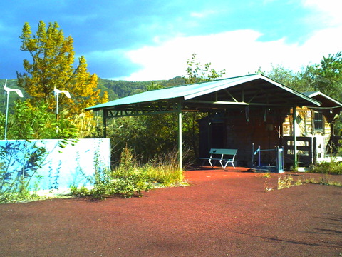 PICT0881