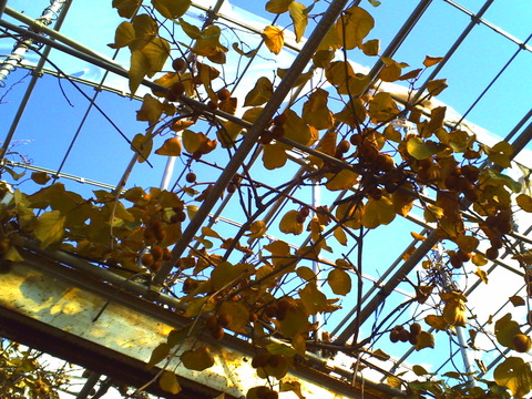 PICT0889