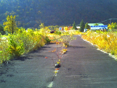PICT0880