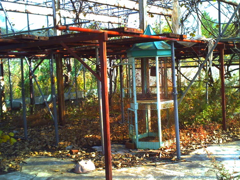 PICT0887