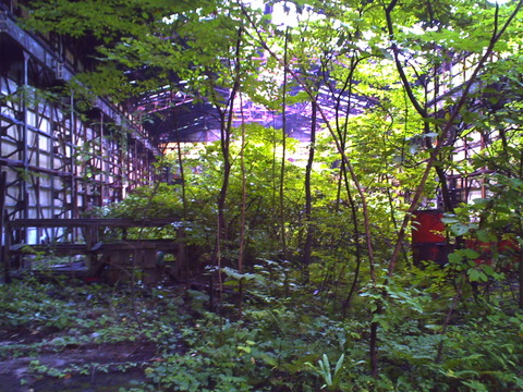 PICT0315