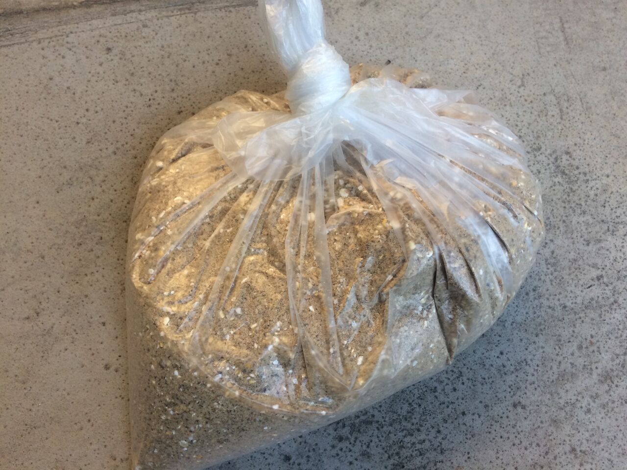 釣り ゴリキチのブログ 釣り ゴリキチのブログ