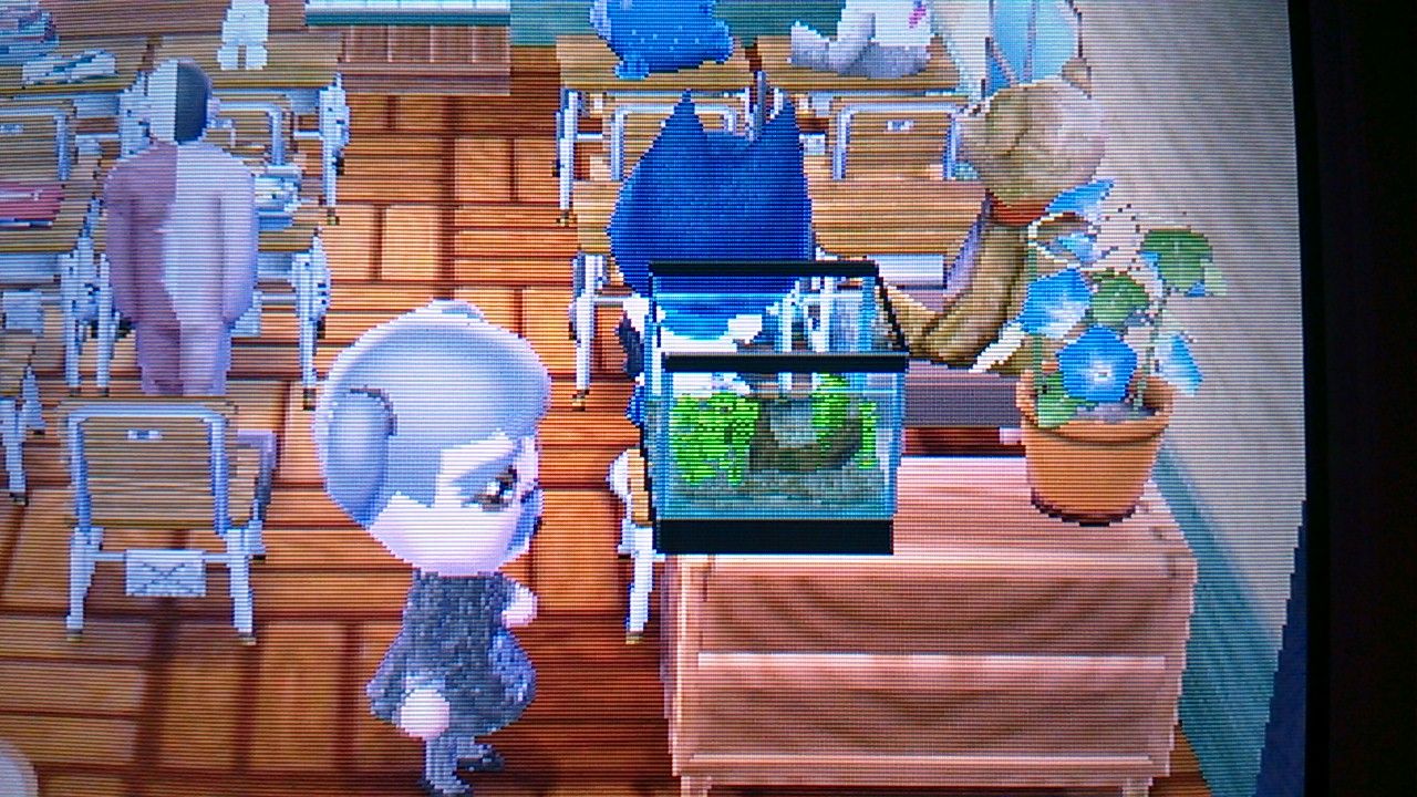 とび森 やまと村の学校 3d抹茶ラテ とびだせポケモンの森 とび森 やまと村の学校 3d抹茶ラテ とびだせポケモンの森