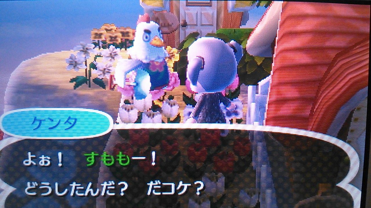 とび森 新しい住人 テロ 3d抹茶ラテ とびだせポケモンの森 とび森 新しい住人 テロ 3d抹茶ラテ とびだせポケモンの森