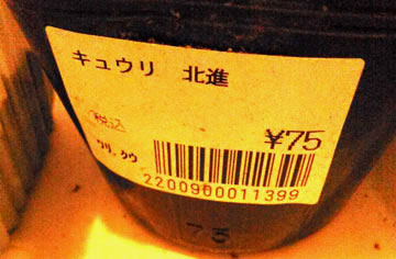 カインズホーム キュウリ苗 75円 購入 庭がステージ 庭ステ