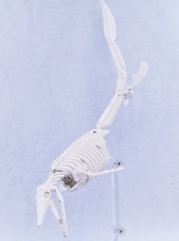 P6274333