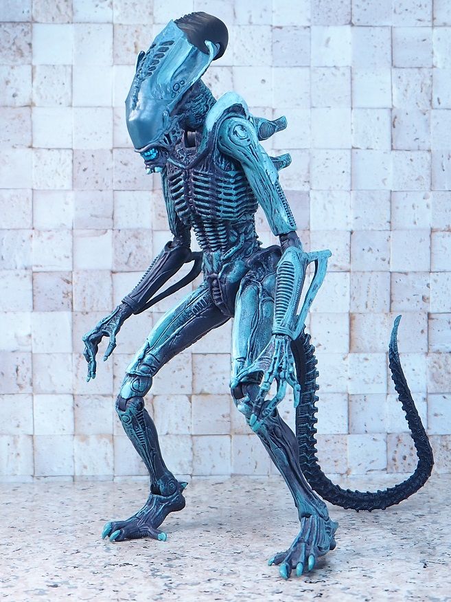 NECA アラクノイド (ARACHNOID) レビュー : おもちゃの巣(玩具 NECA アラクノイド (ARACHNOID) レビュー : おもちゃの巣(玩具