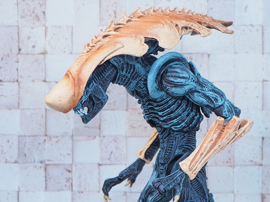 NECA クリサリス (CHRYSALIS) レビュー : おもちゃの巣（玩具