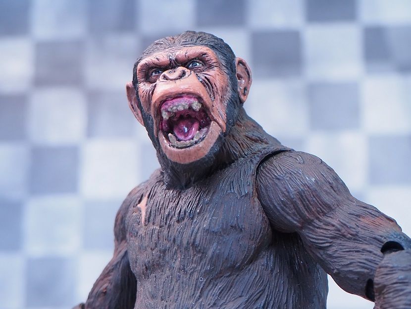 NECA 猿の惑星: 新世紀 シーザー レビュー : おもちゃの巣（玩具
