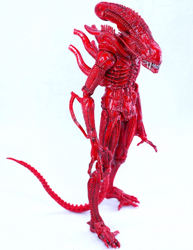 NECA ウォーリアー エイリアン レッド レビュー : おもちゃの巣（玩具