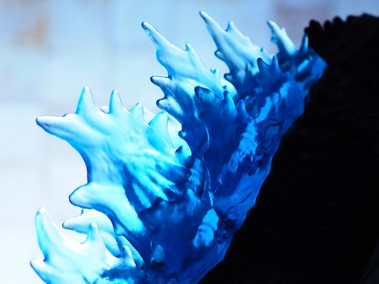 P8232731