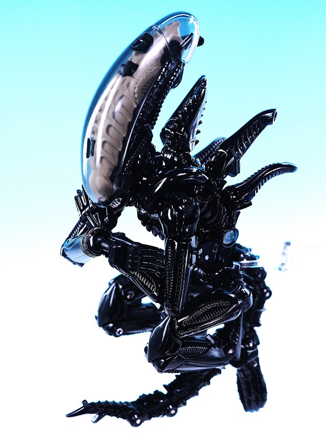 PB180932