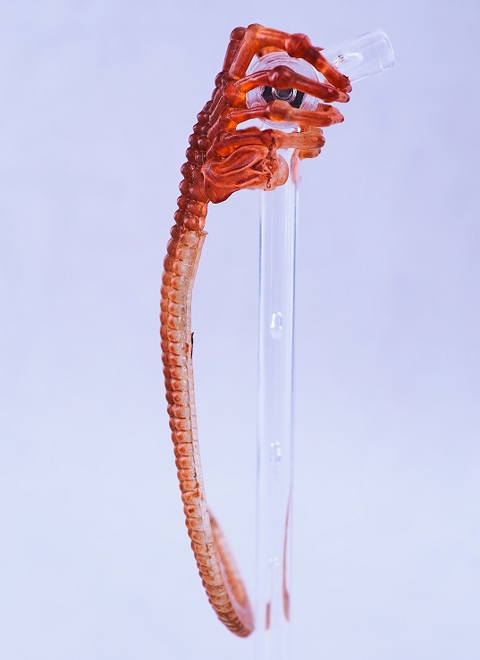 P1136866