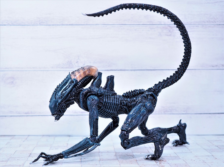 NECA エイリアン VS プレデター アラクノイド・エイリアン