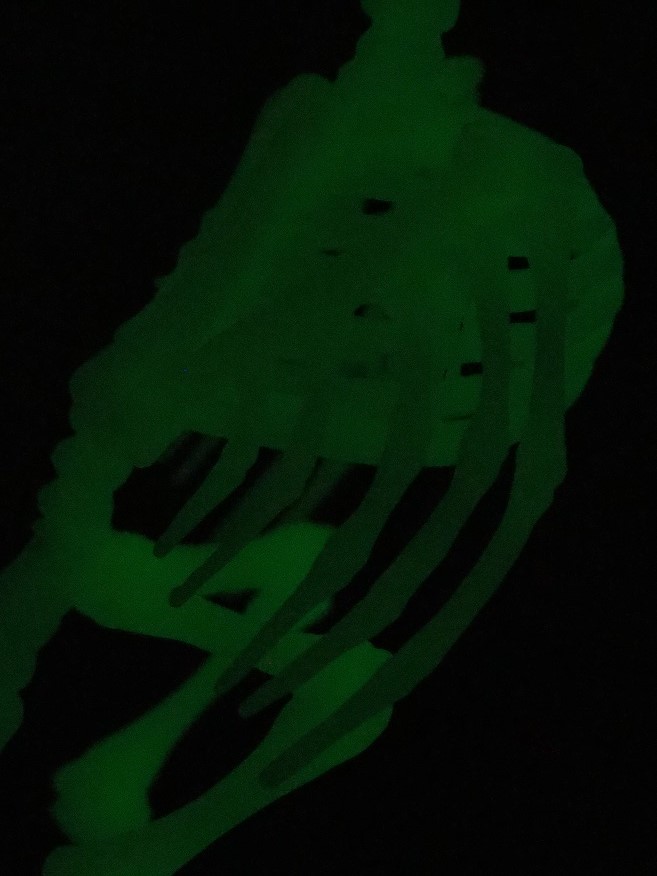 P9053599