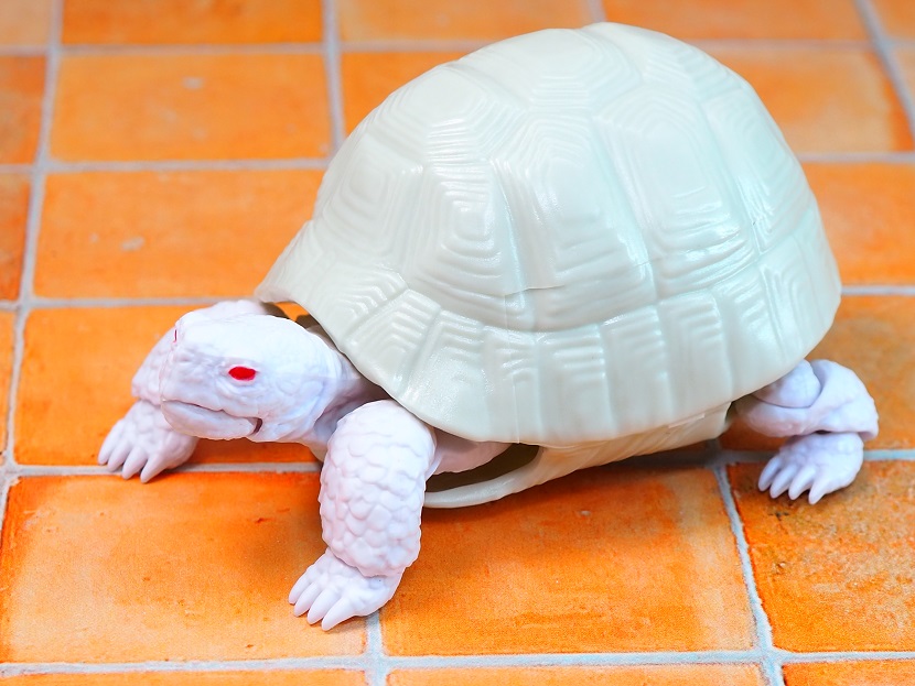 バンダイ ガシャポン かめ レビュー : おもちゃの巣（玩具レビュー）