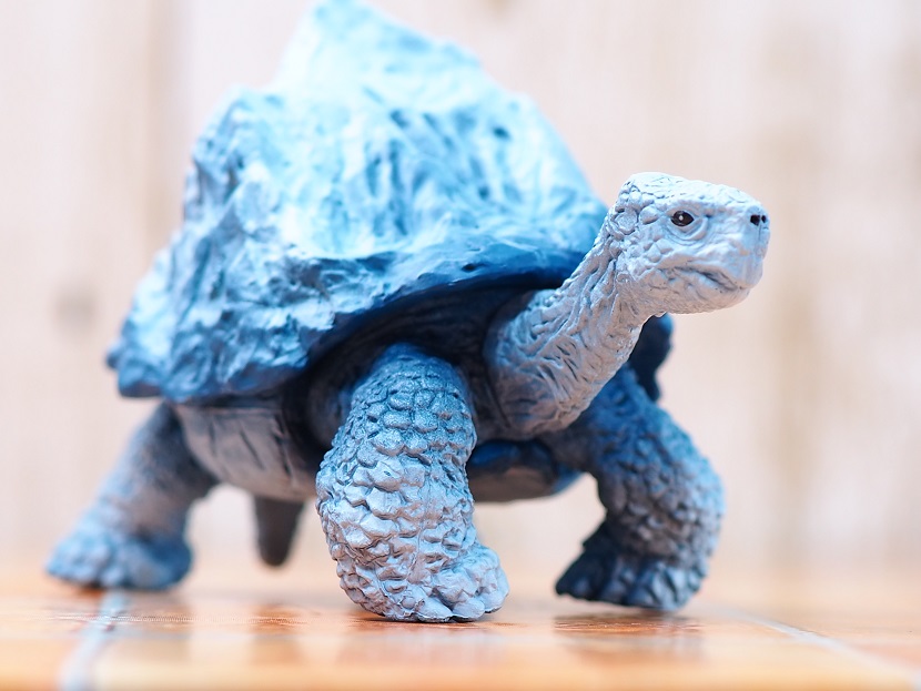 タカラトミーアーツ マウンテンタートルズ レビュー : おもちゃの巣