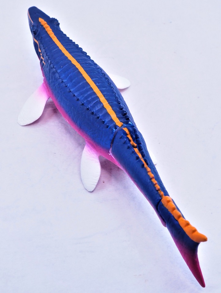 P9209529