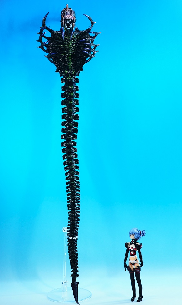 PC315737