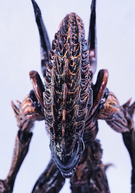 NECA スコーピオンエイリアン レビュー : おもちゃの巣（玩具
