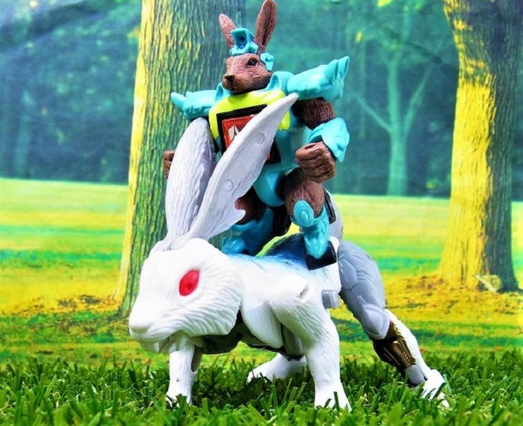 RIMG2034_20121230222117